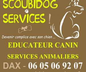 Education Canine Dax - Scoubidogservices