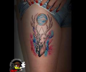 photo King kustom Perigueux 10883