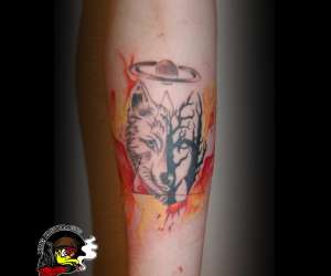 photo King kustom Perigueux 10885