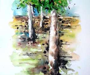 photo L'atelier de peinture vilcaz Villeneuve Sur Lot 12171