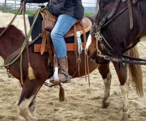 photo Equitation western de loisirs le ranch des centaures Brugnac 11307