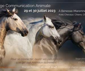 photo Marion peluso Soustons 11790
