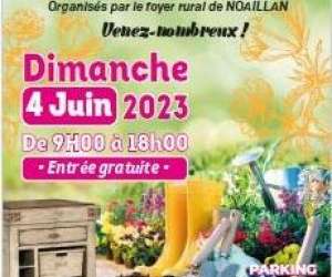 photo Foyer rural de noaillan - les archers du domaine Noaillan 11964