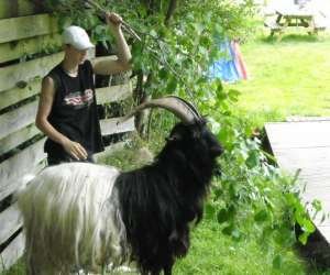 photo Ferme de la nature, ferme animaliere pdagogique Fontenai Les Louvets 2608