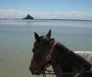 Promenades questres En Baie Du Mont Saint Michel