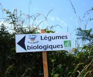 photo Ferme biologique de la sittelle St Vigor Des Monts 2693