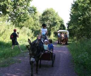 Centre Tourisme questre Chevaux Et Anes Des Mares