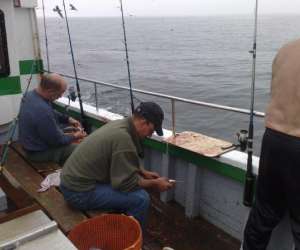 photo Calypso ii  Dives Sur Mer 2935