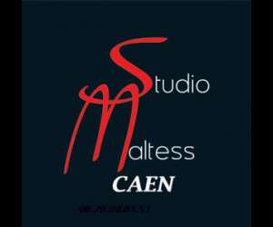 Studio Maltess