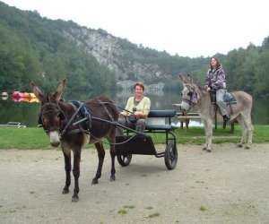 Centre Tourisme Equestre "chevaux Et nes"