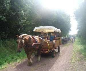 Centre Tourisme Equestre "chevaux Et nes" Des Mares