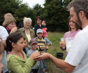 photo Mlisne levage d'nesses laitires Le Bouillon 3723