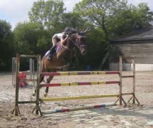 photo Centre equestre deauville-st gatien St Gatien Des Bois 3671