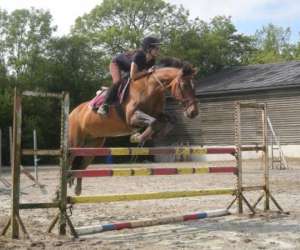 photo Centre equestre deauville-st gatien St Gatien Des Bois 3672