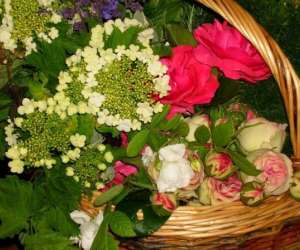 photo Les petits matins bleus -  chambres d'htes de charme  Ste Marguerite De Viette 3389