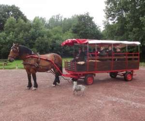 photo Cte chevaux et anes, camping**et gte Bolleville 4413