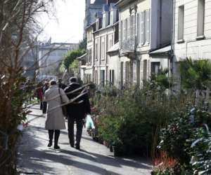 Foire Aux Arbres Et Aux Plantes De Lisieux