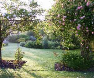 Les Fleurs Du Cassel