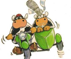 photo Cartoon's pizza Ouistreham 4098