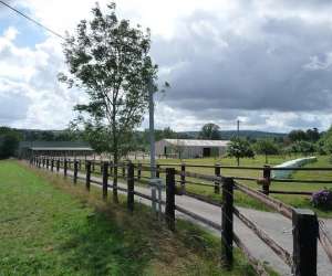 Centre Equestre Poney-club Du Bief Cahagnes