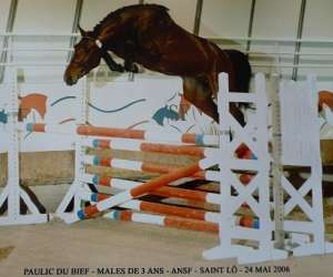 photo Centre equestre poney-club du bief cahagnes Cahagnes 4328