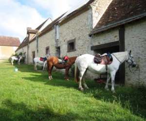 Ferme Equestre La Pichardire