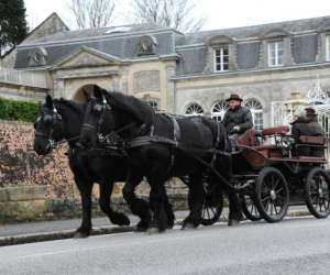 photo Association bellme attelages St Martin Du Vieux Bellem 4400