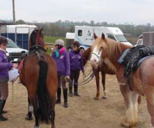 Centre Equestre De La Lys