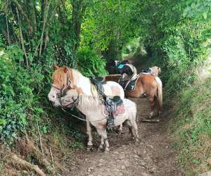 photo Centre equestre de la lys Notre Dame Du Rocher 5355