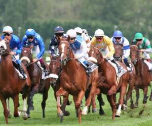 photo Hippodrome de clairefontaine Tourgeville 4909