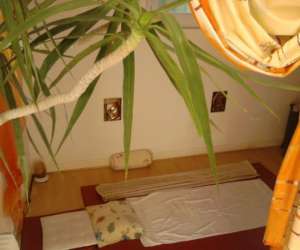 photo Nuad orne Argentan 4785