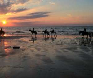 Centre Equestre De Blonville Sur Mer