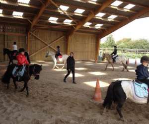 photo Ecurie leseigneur Bolleville 4981