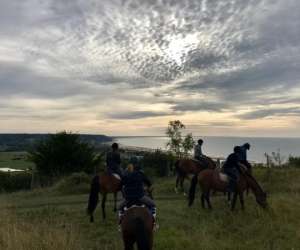 photo Centre equestre de blonville Blonville Sur Mer 5115