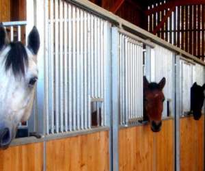 Centre Equestre Les Ecuries De Marlau