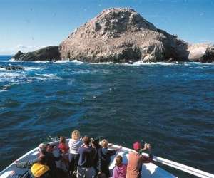 photo Armor navigation Perros Guirec 6763