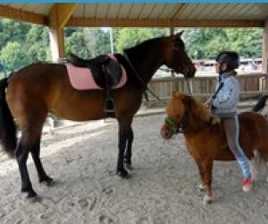 Aiseph Poney Club St Malo Aiseph Poney Club St Malo