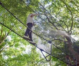 photo Jardins de broc�liande Breal Sous Montfort 11282