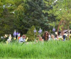 Jardins De Broc�liande