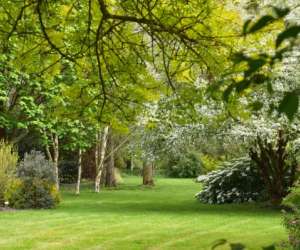 photo Jardins de broc�liande Breal Sous Montfort 11289