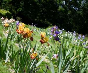 photo Jardins de broc�liande Breal Sous Montfort 11290