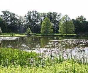 Parc Des Gayeulles