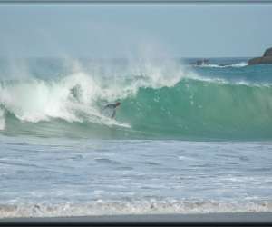 école de surf du léon école de surf du léon