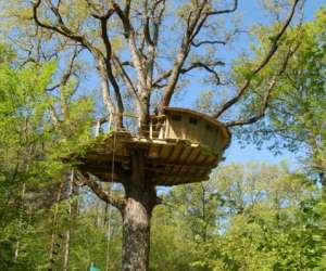 Cabanes dans les arbres Cabanes dans les arbres