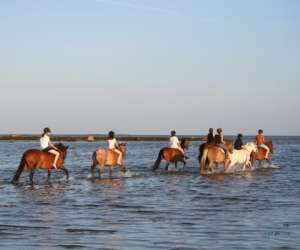 Centre Equestre De La Joie