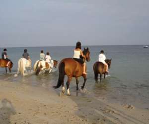photo Centre equestre de la joie Penmarch 6195