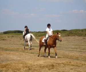 photo Centre equestre de la joie Penmarch 6196