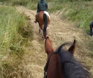 photo Centre equestre de la joie Penmarch 6200