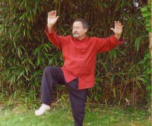 Tai Chi Chuan, Qi Gong