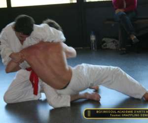 Arts martiaux mixtes